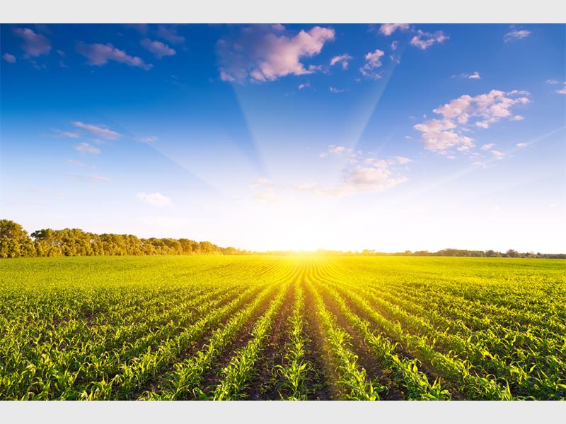 Expropriation Without Compensation Is An Economic Timebomb Agri SA 